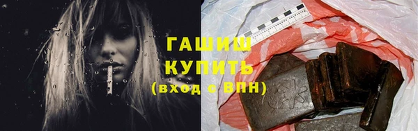 дмт Ельня