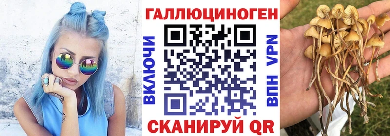 Псилоцибиновые грибы мухоморы  наркота  Каменск-Шахтинский 