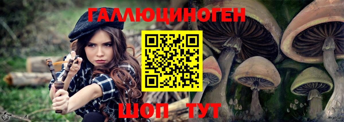Псилоцибиновые грибы мухоморы  Вход с VPN  купить закладку  Каменск-Шахтинский 
